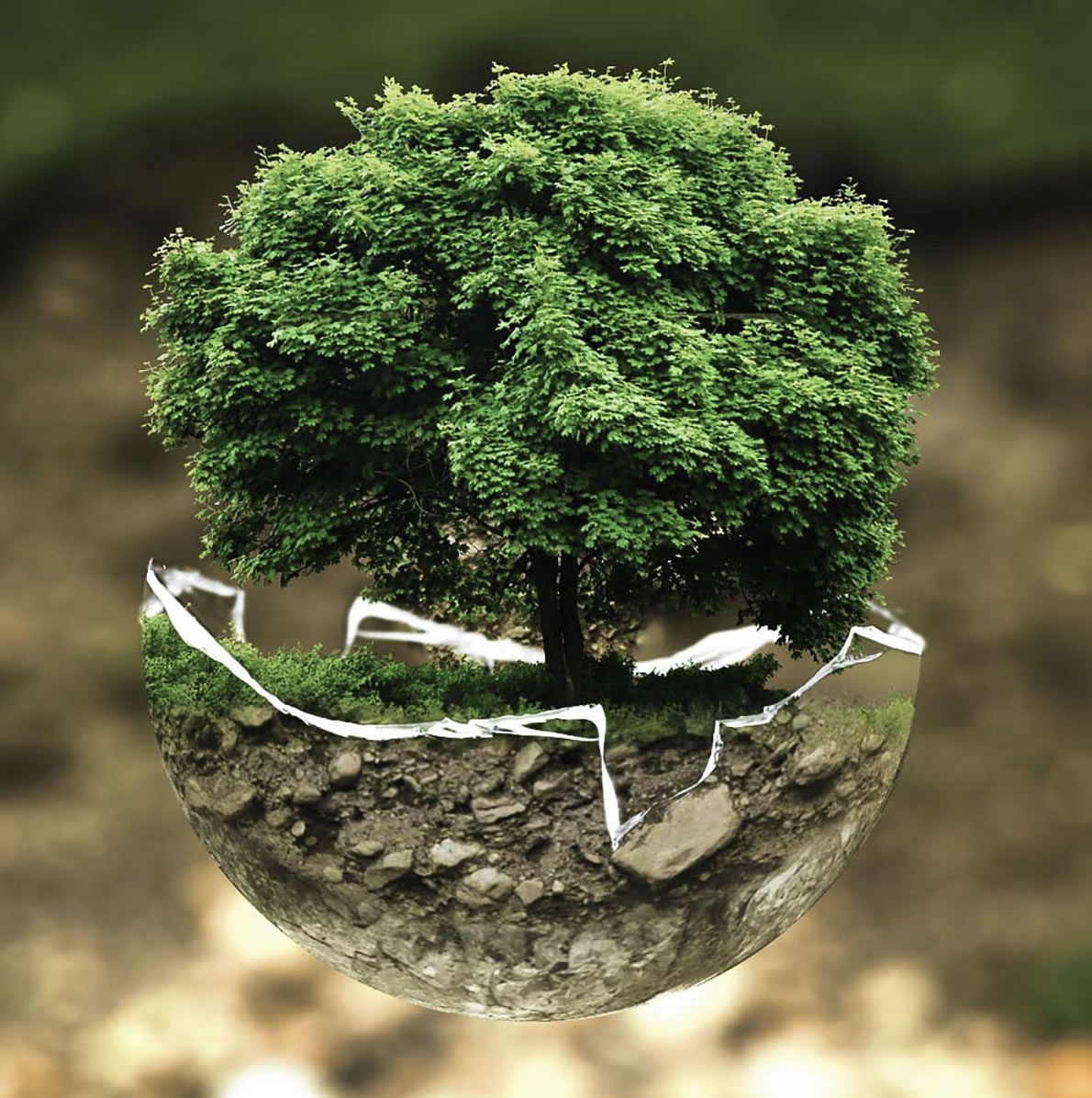 a2 Environmental consulting